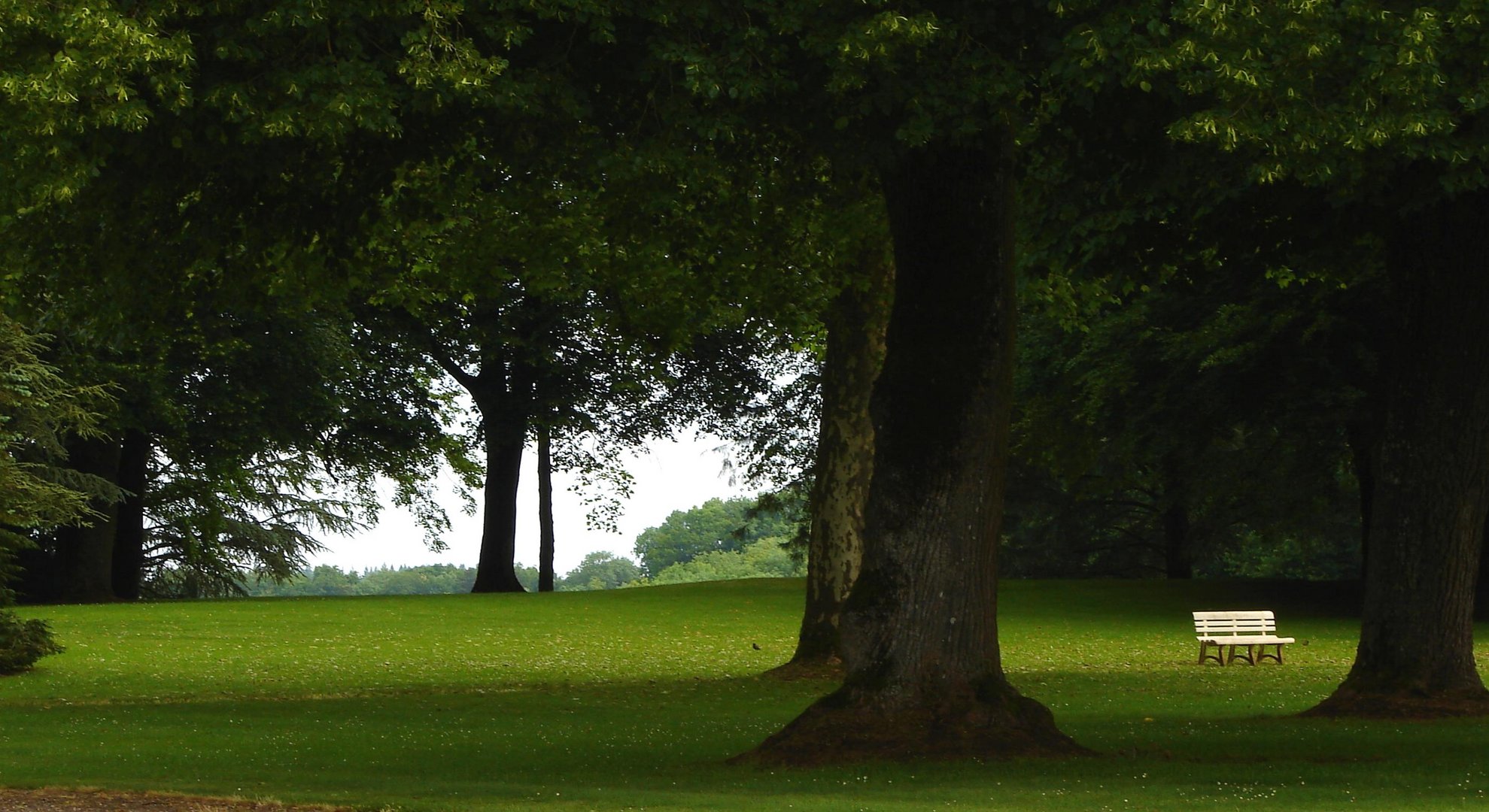 médité au calme pour cet été