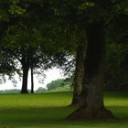 médité au calme pour cet été