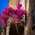 Mediterane Gasse in Hvar/Kroatien