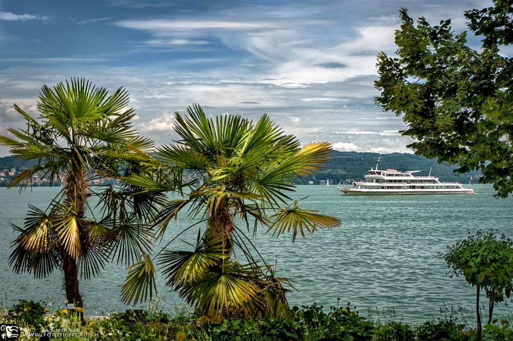 mediteraner Bodensee