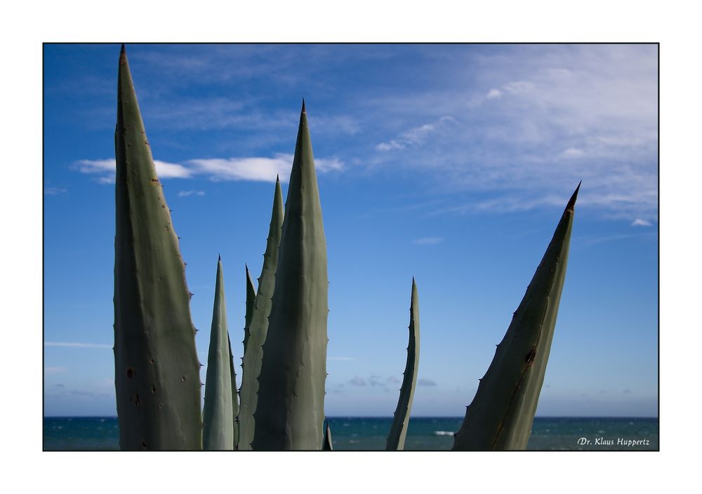 mediteranes Feeling kommt auf