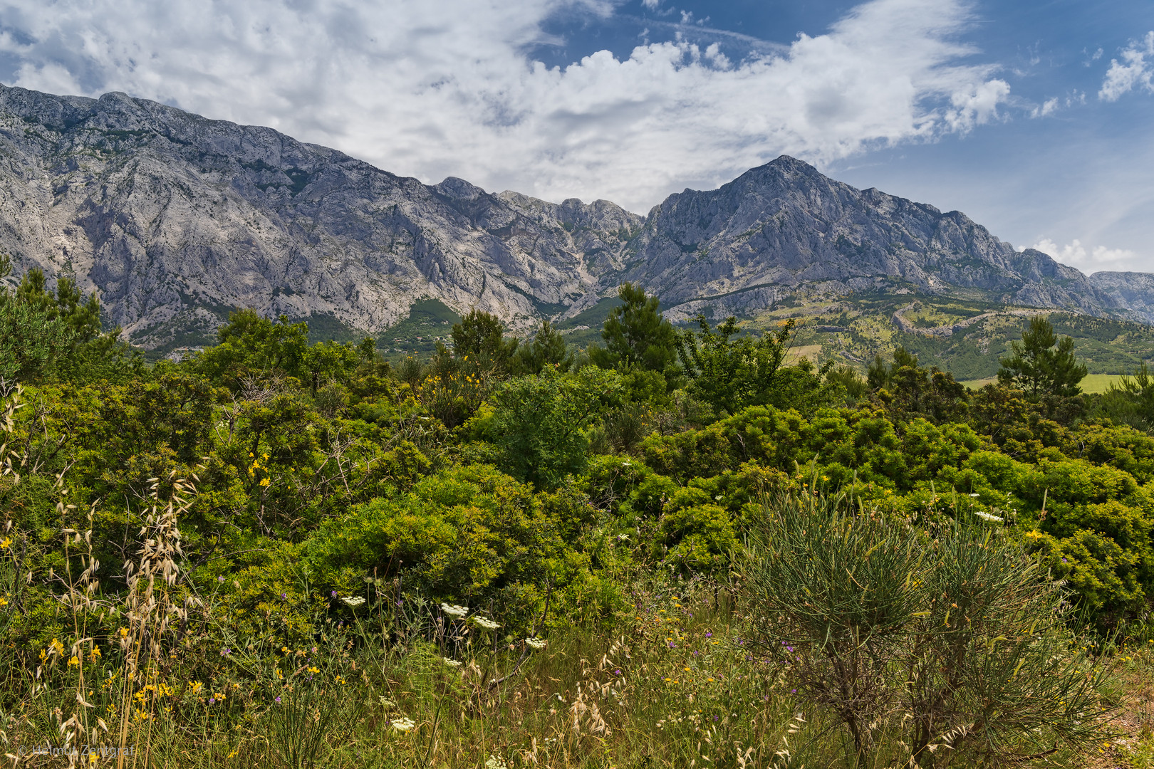 Mediteranes Flair vor dem Biokovo-Gebirge