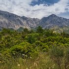 Mediteranes Flair vor dem Biokovo-Gebirge