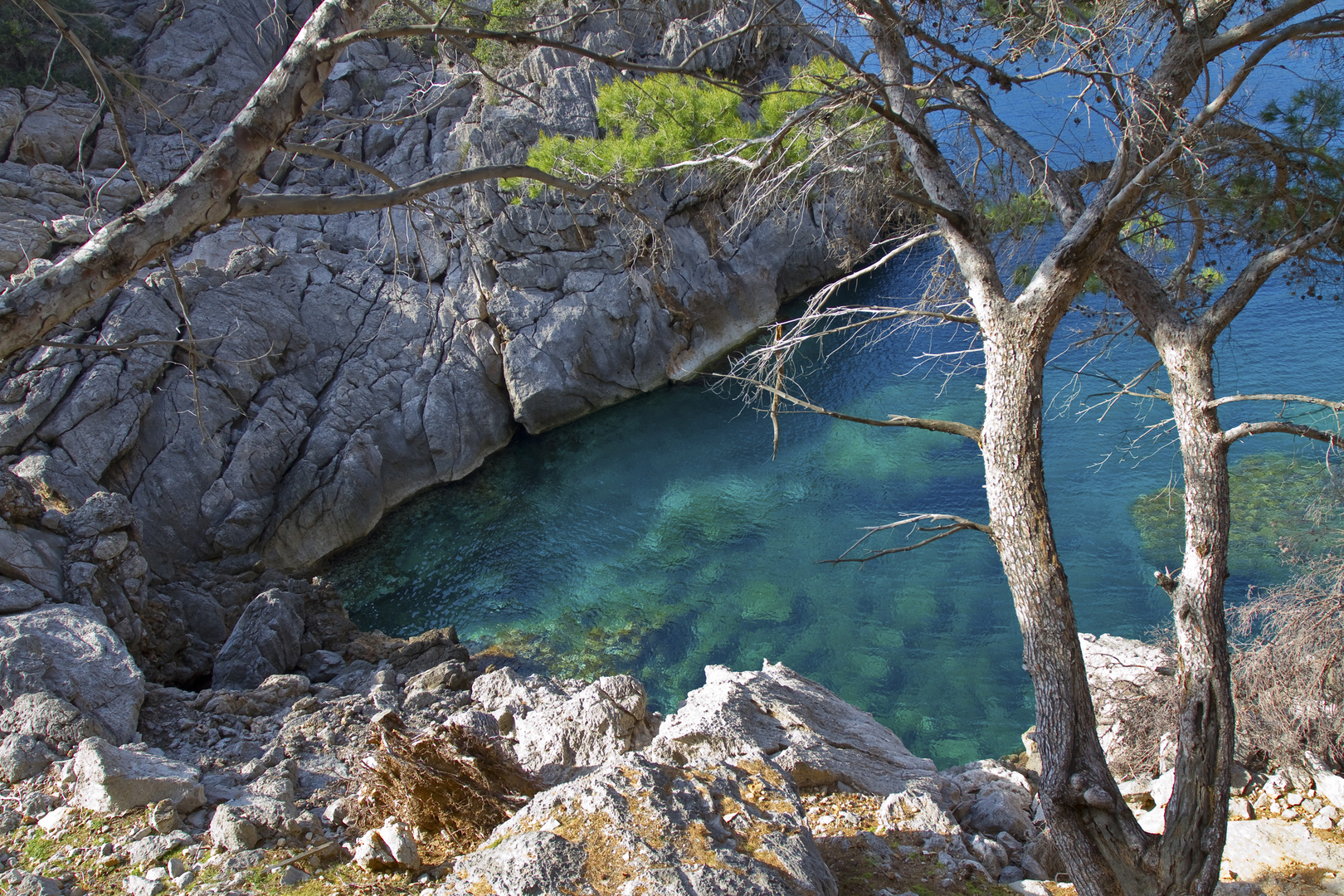 Mediterrane Farbenpracht