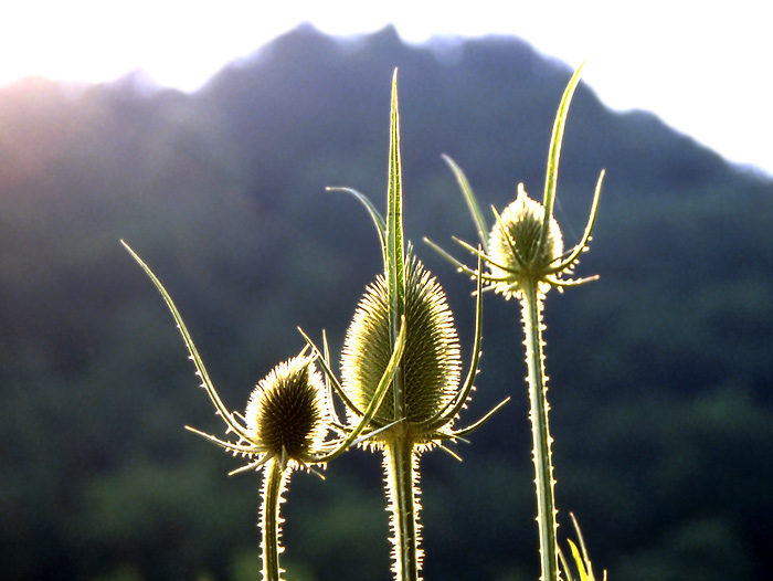 mediterrane Frische