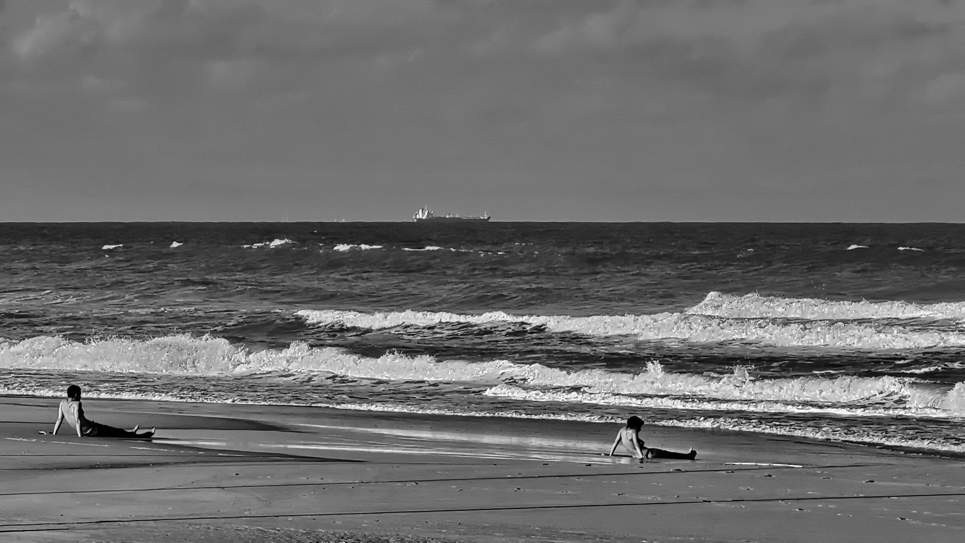 Mediterrane Strandplantscher