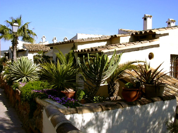 Mediterrane Vegetation