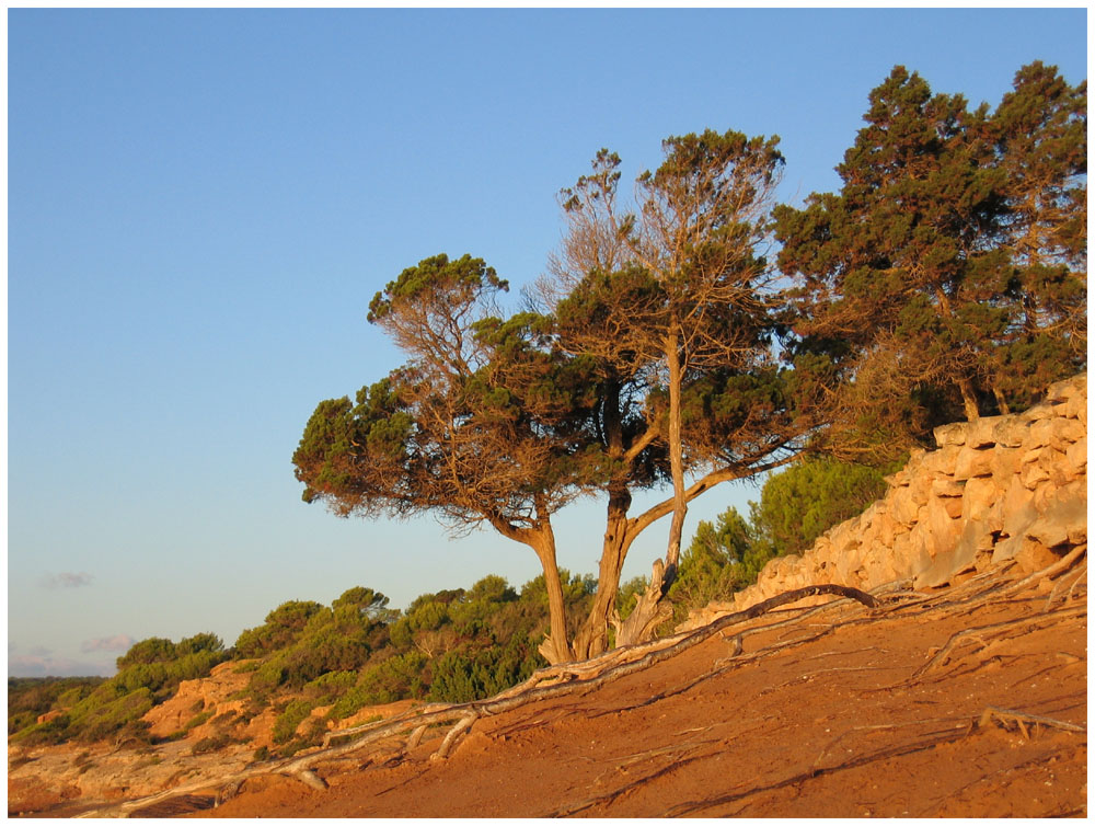 Mediterranean Morning