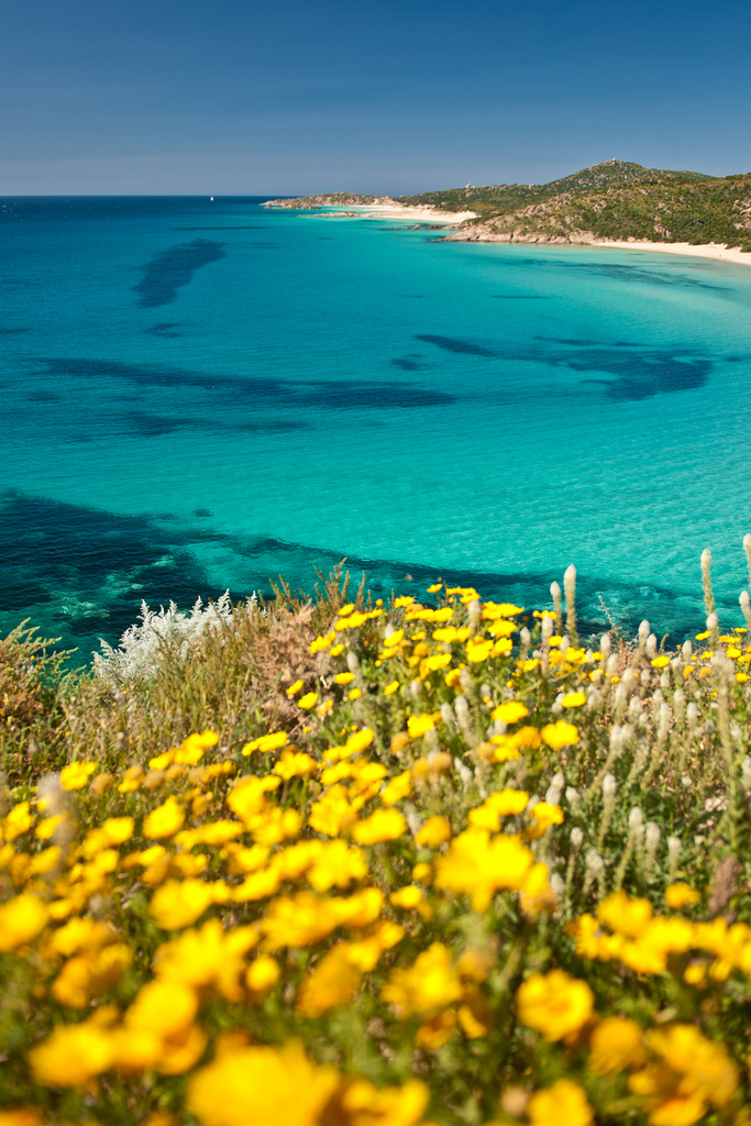 Mediterranean spring