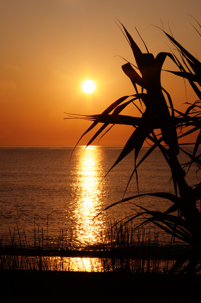 Mediterranean Sunrise