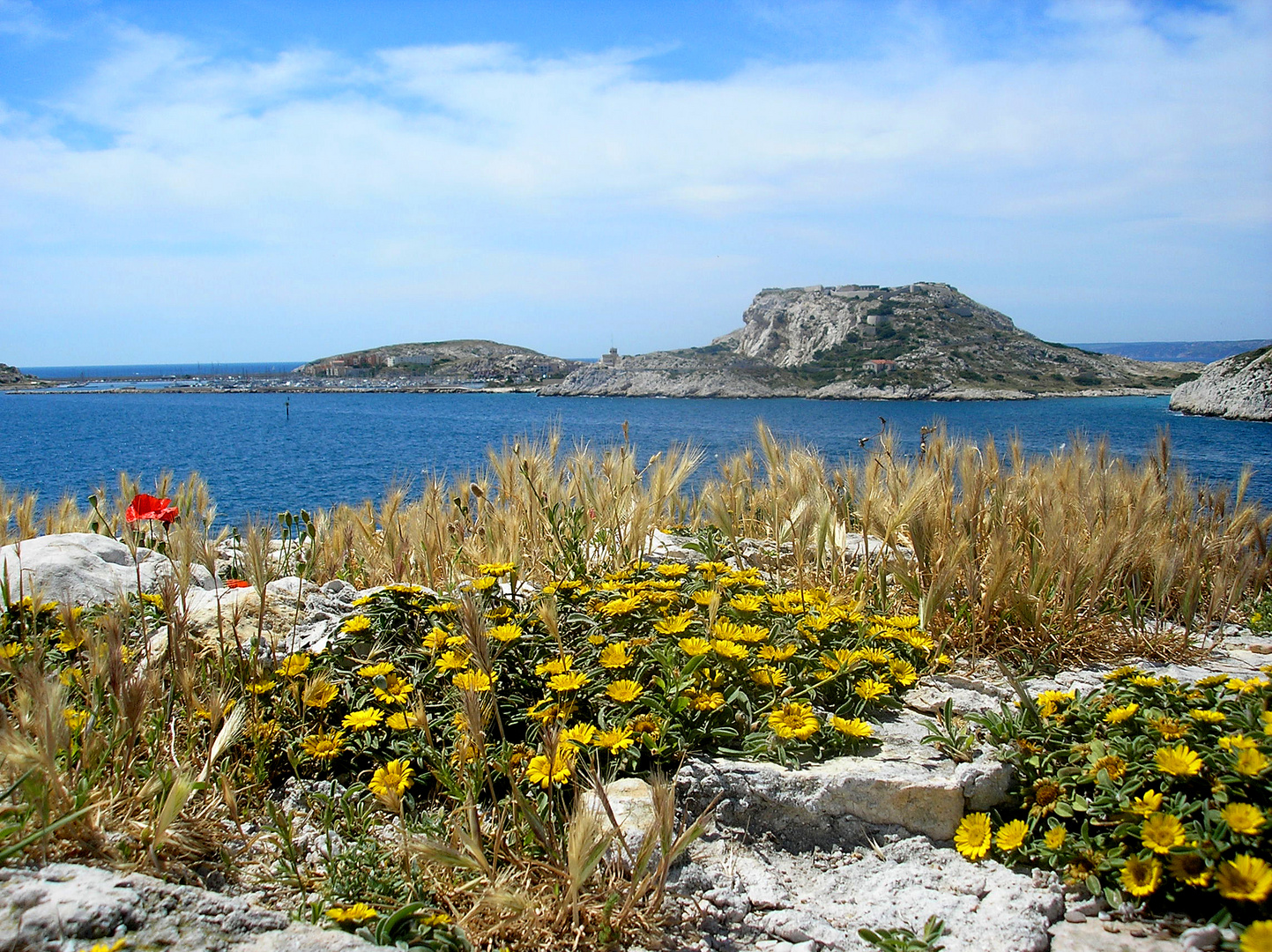 Méditerranée