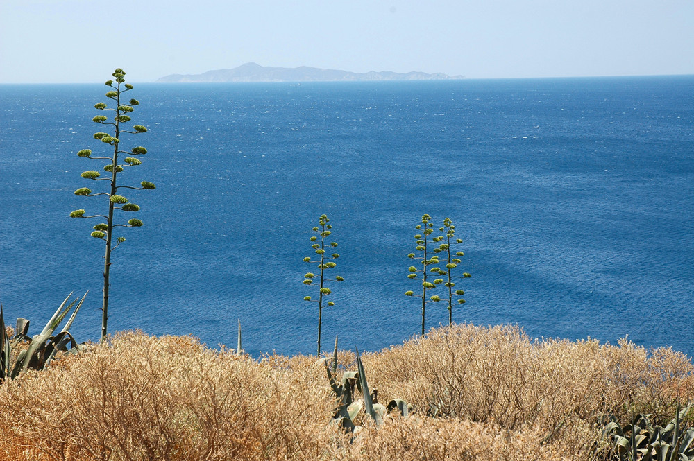 Mediterraneo...