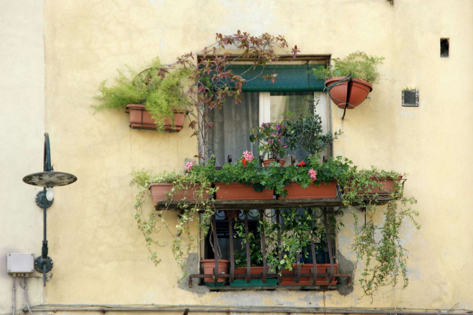 mediterranes Blumenfenster