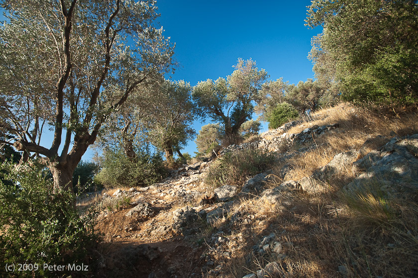 Mediterranes Paradies! / Insel Samos