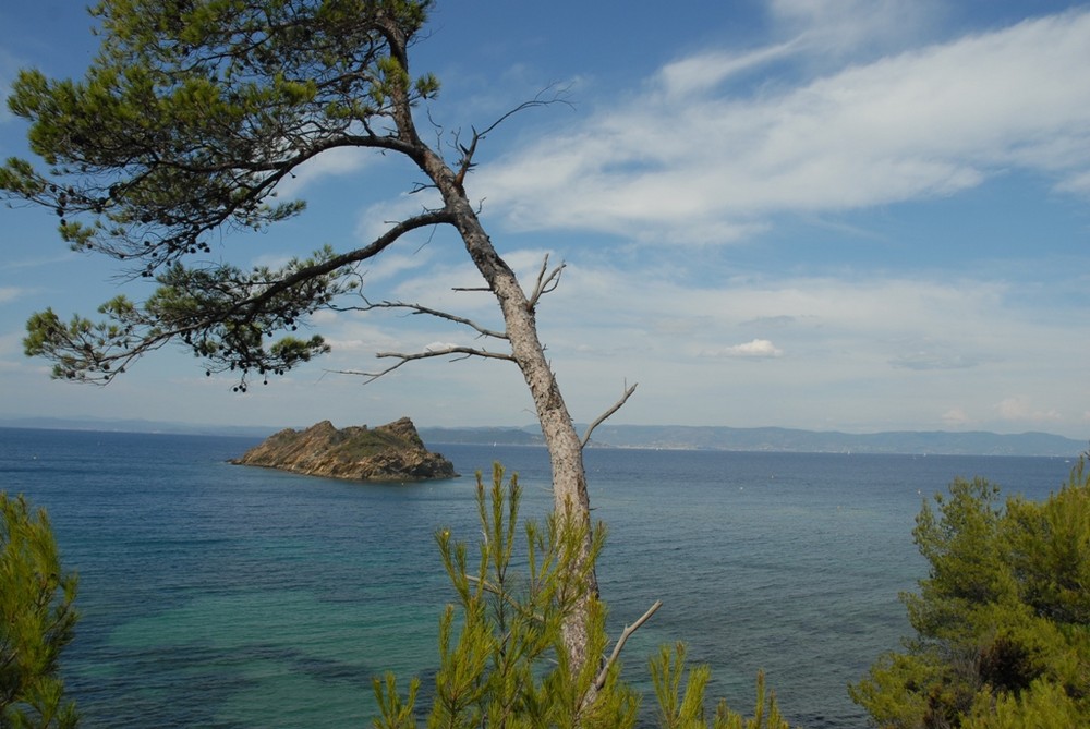 Mediterrannée vue de Port cros (83)