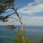 Mediterrannée vue de Port cros (83)