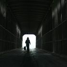 Medora Covered Bridge, Jackson Co, IN