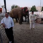 Medrano Circus in Bucharest (2)