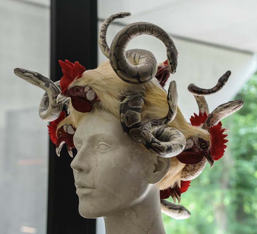 Medusa von Koen van Mechelen (B)