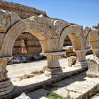 Méduses en bordure du forum