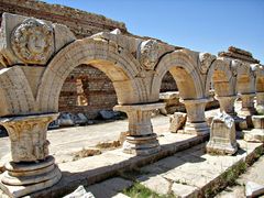 Méduses en bordure du forum