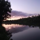 Medvedica river