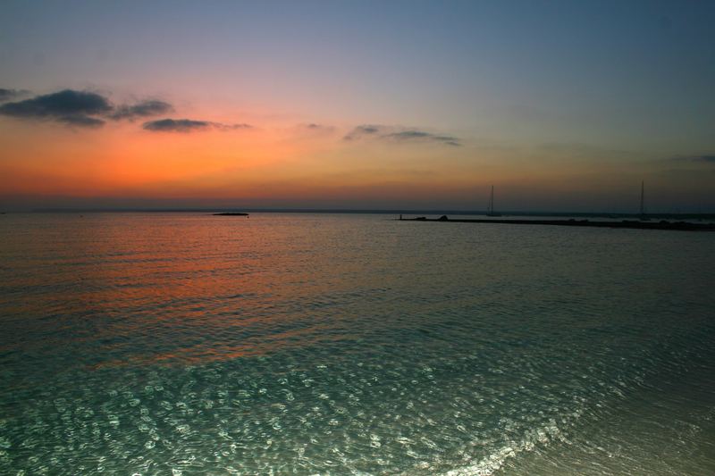 Meer Foto & Bild | archiv projekte naturchannel, naturprojekte 2007