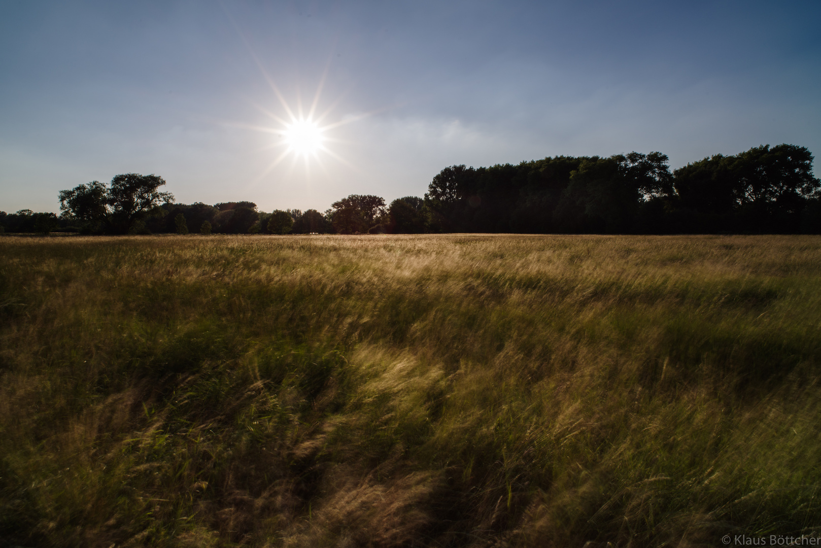 Meer aus Gras