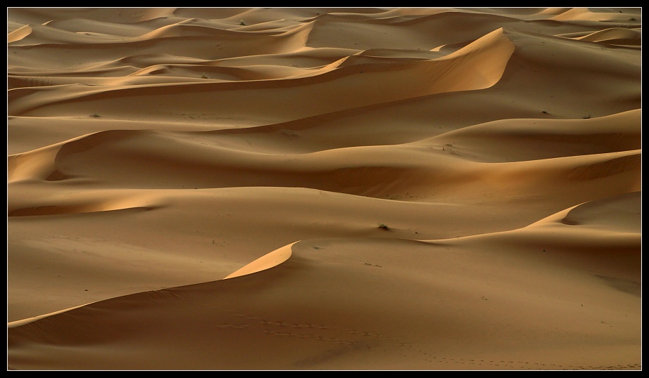 Meer aus Sand, Erg Chebbi, Marokko