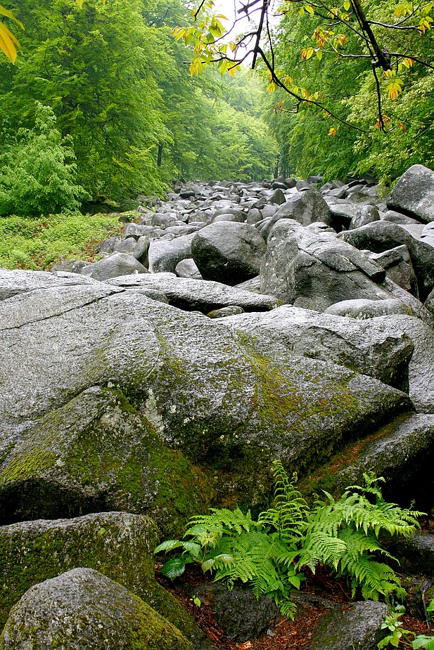 Meer aus Steinen