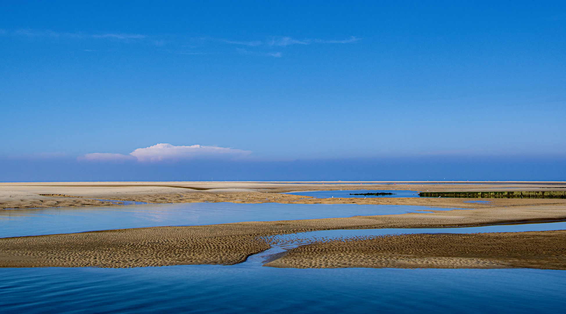 Meer Bild - Borkum Blue