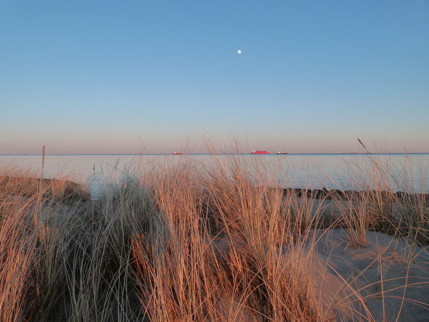 Meer, Gras, Reede, Mond