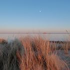 Meer, Gras, Reede, Mond