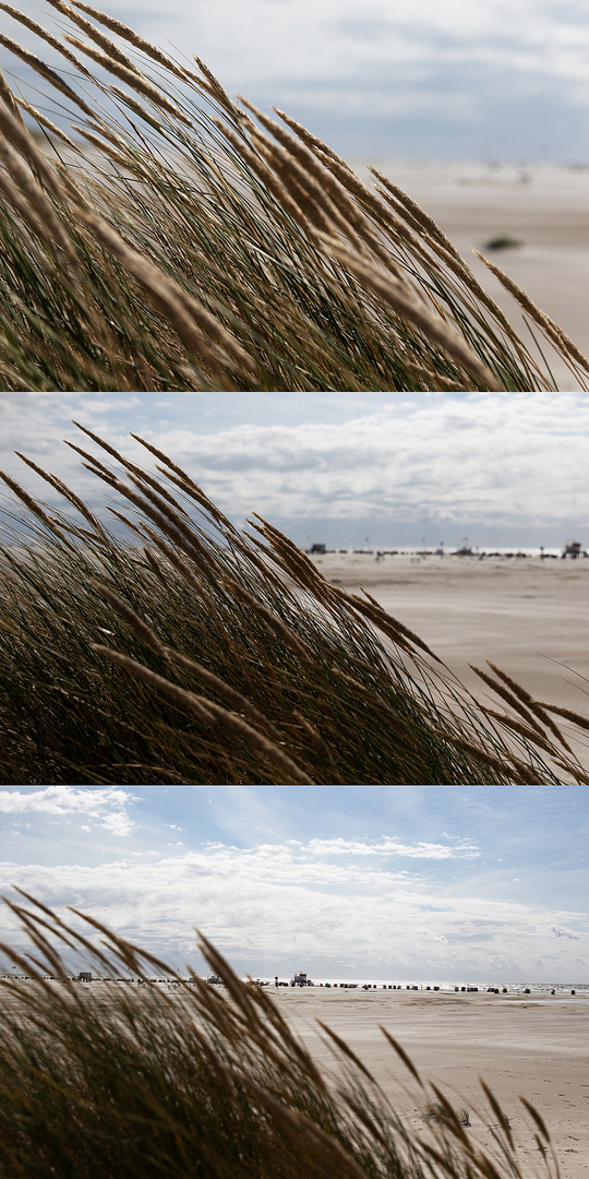 Meer, Gras und Strand Variation in Farbe