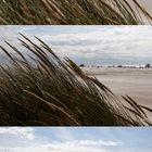 Meer, Gras und Strand Variation in Farbe