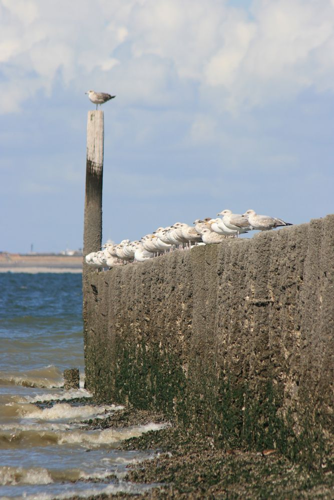 Meer in Zeeland