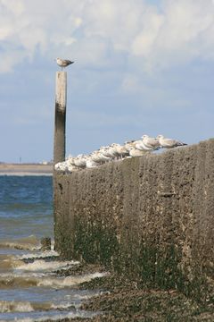 Meer in Zeeland