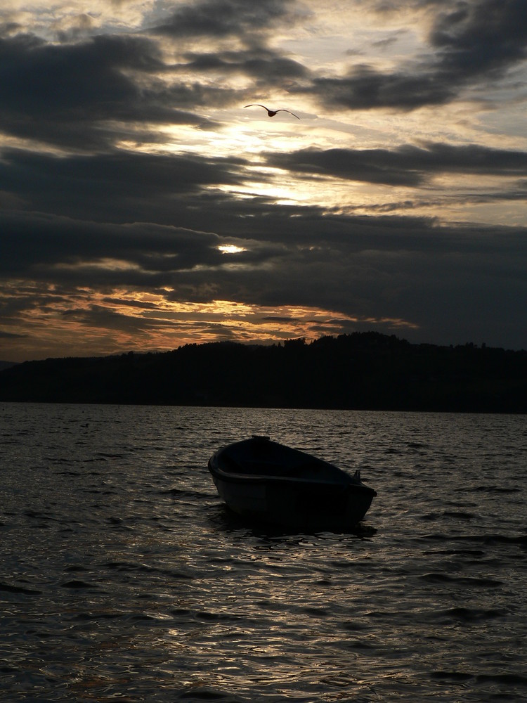 Meer, Möwen, Sonnernuntergang