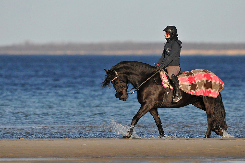 Meer – Reiten