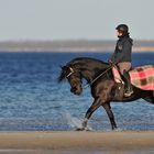 Meer – Reiten