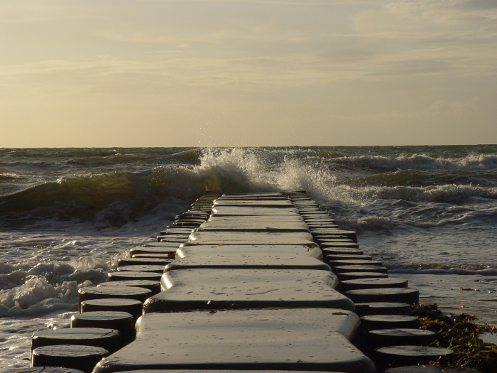 Meer sehen... in Ahrenshoop