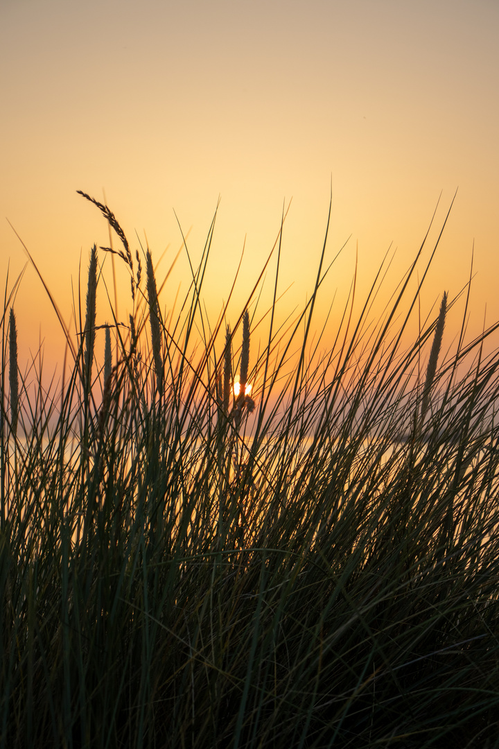 Meer Sonnenuntergänge im Leben.... 