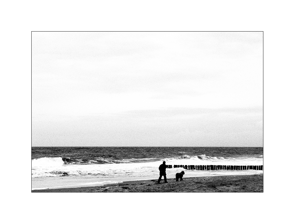 Meer -  Strand - Mann - Hund - Buhne