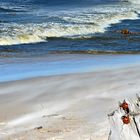 Meer, Strand, Wind und Dünen an der Ostsee