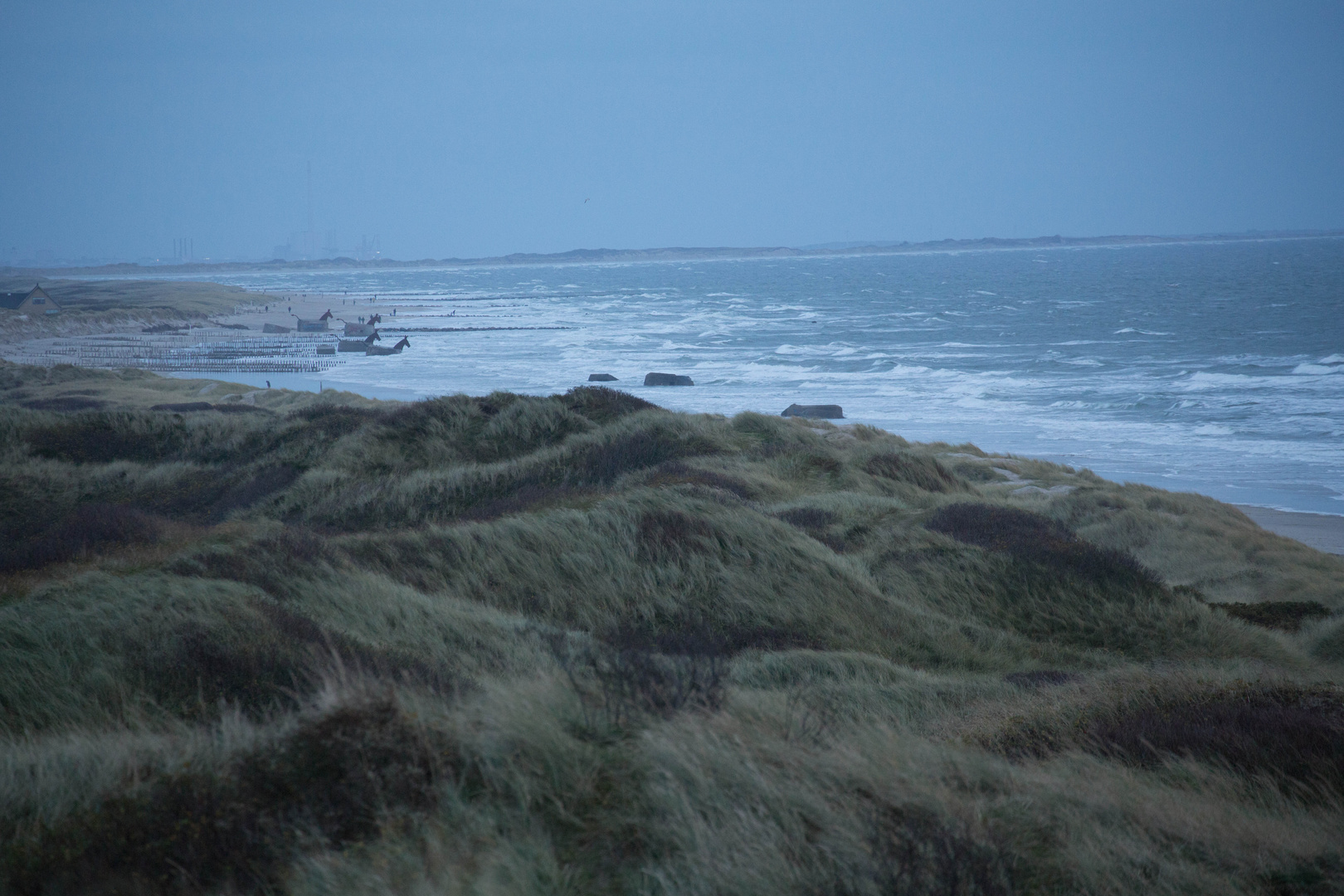 Meer und Dünen