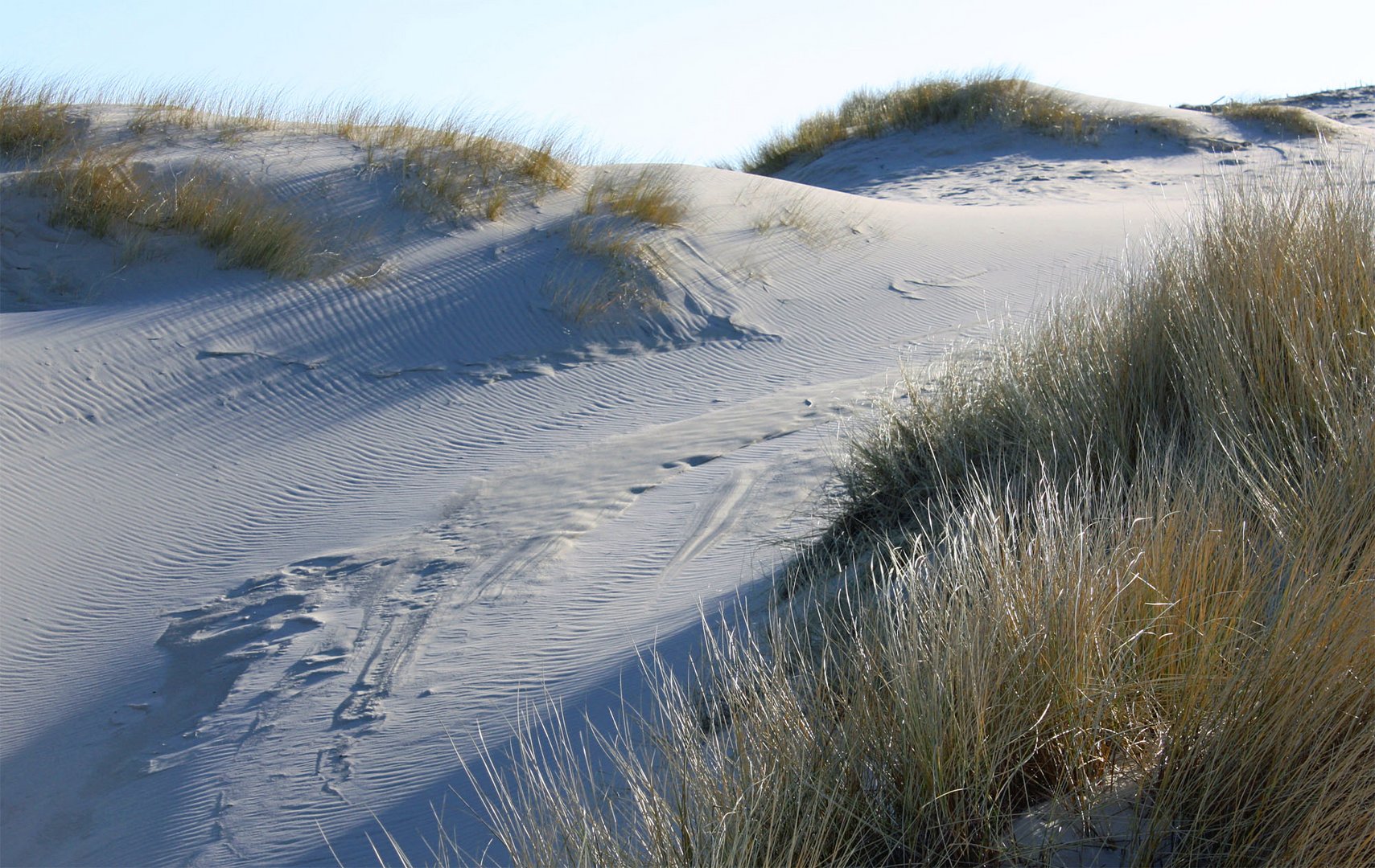 Meer und Dünen