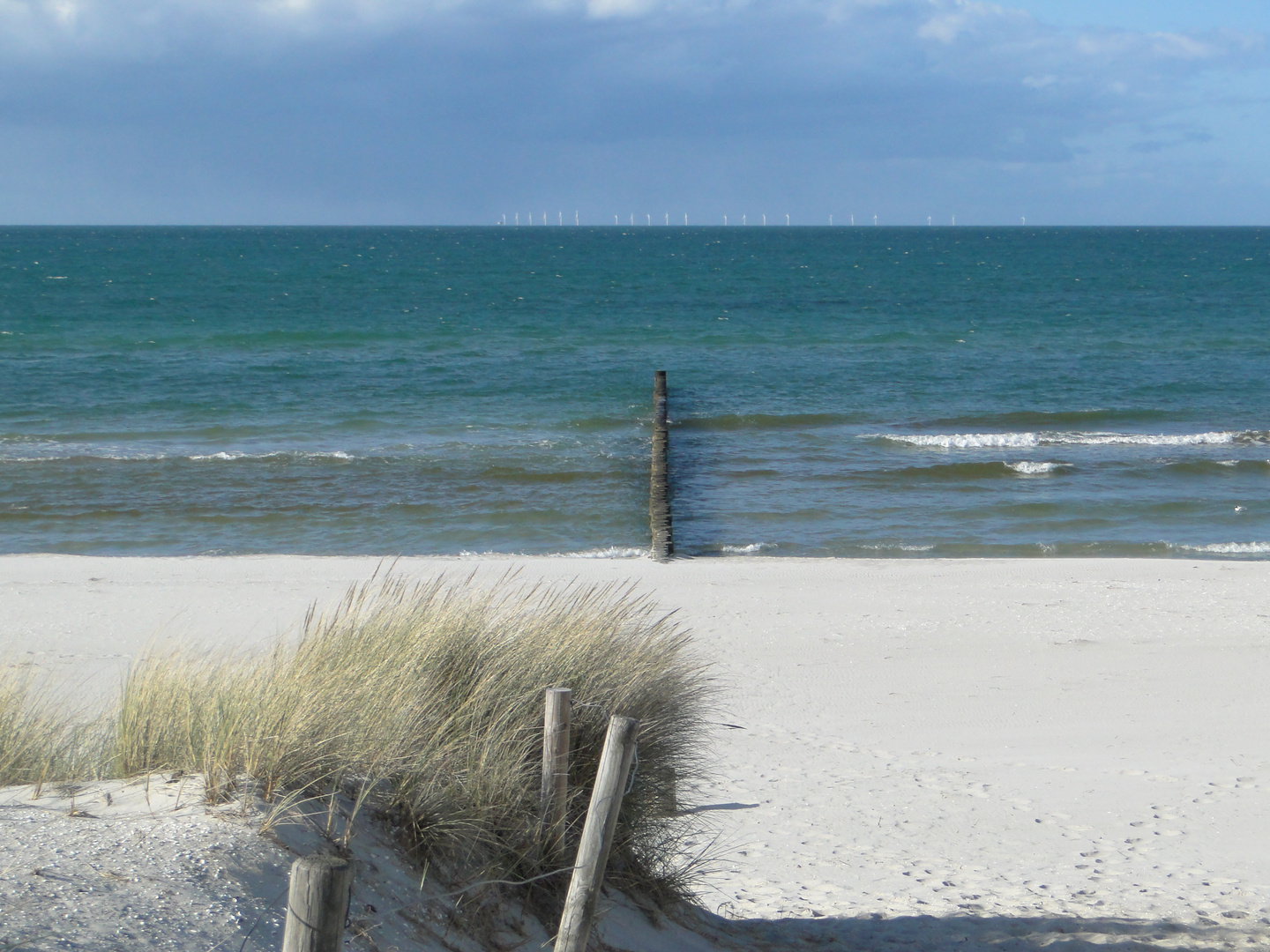 Meer und Dünen