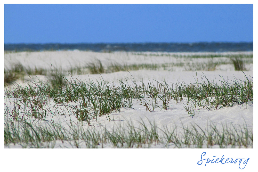 Meer und Dünen