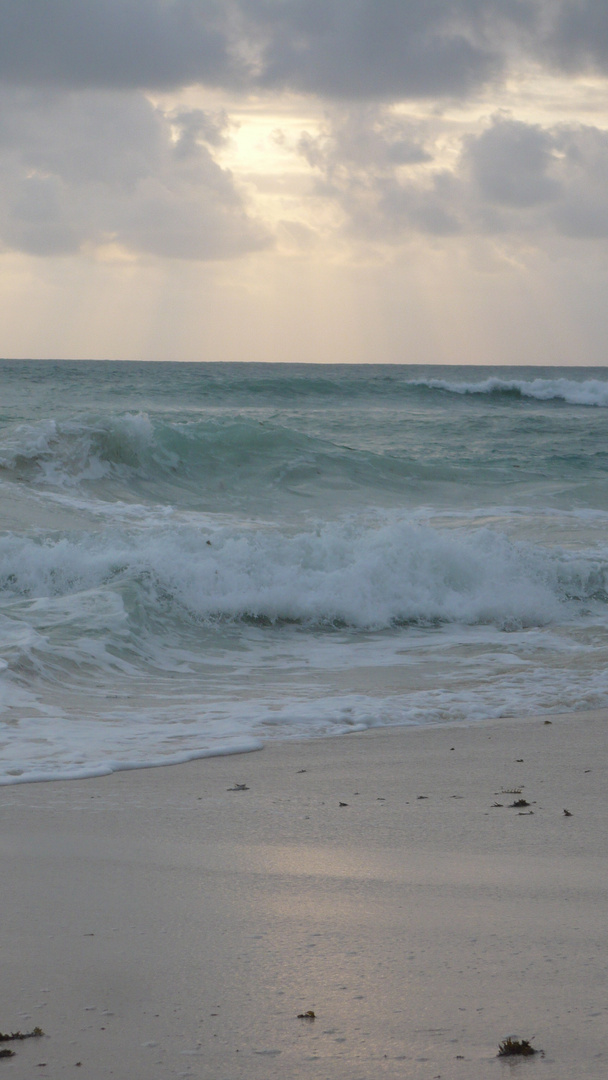 Meer und Strand Seychellen