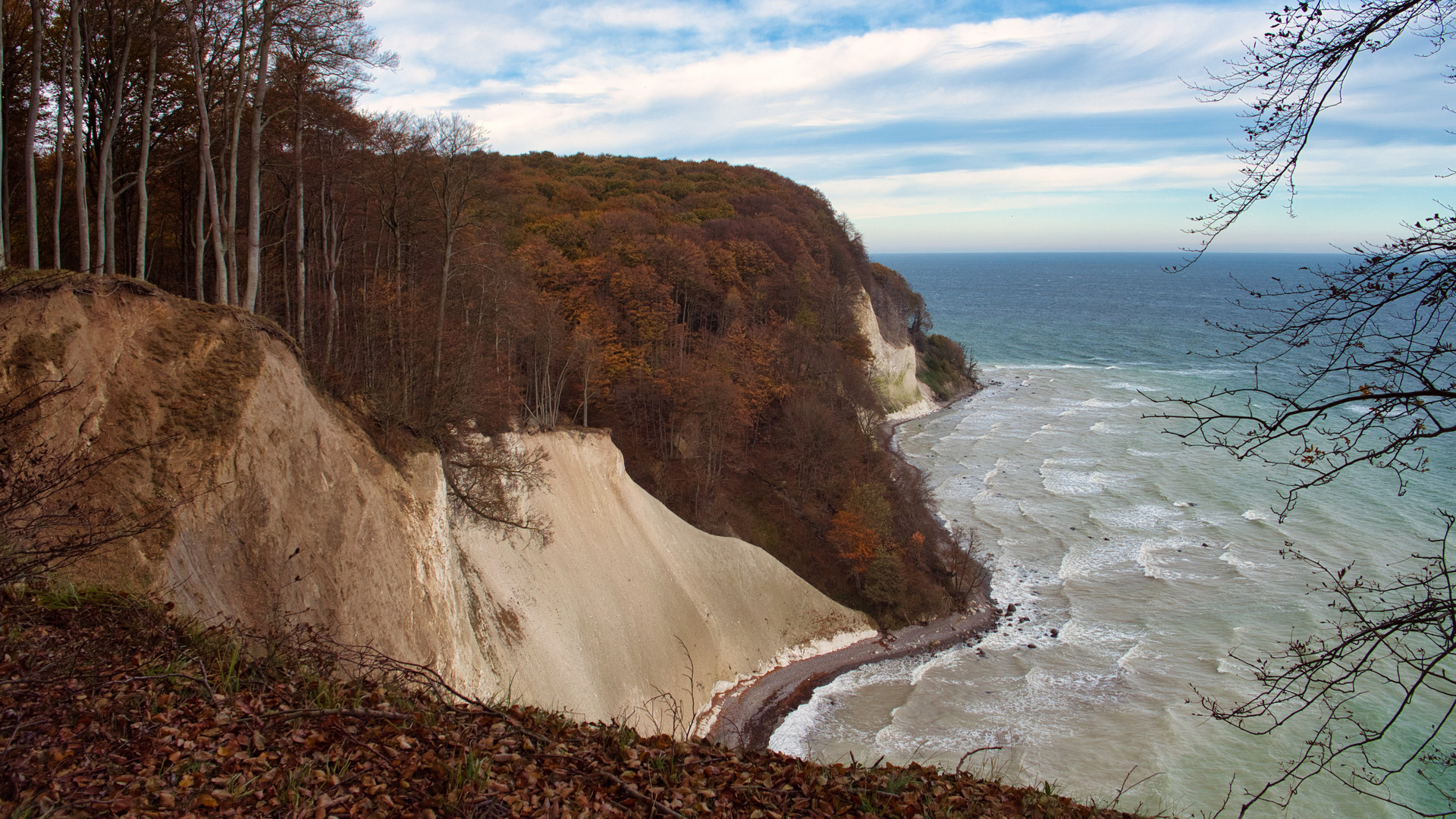 Meer-Wald, zum Meer ziehend